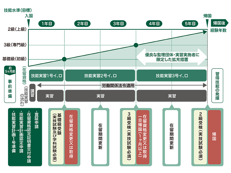 技能実習生の期間について